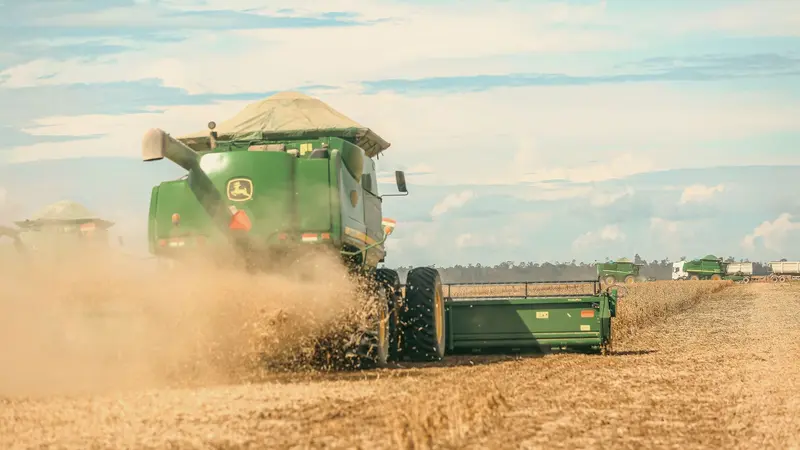 Colheitadeira trabalhando em uma plantação de soja
