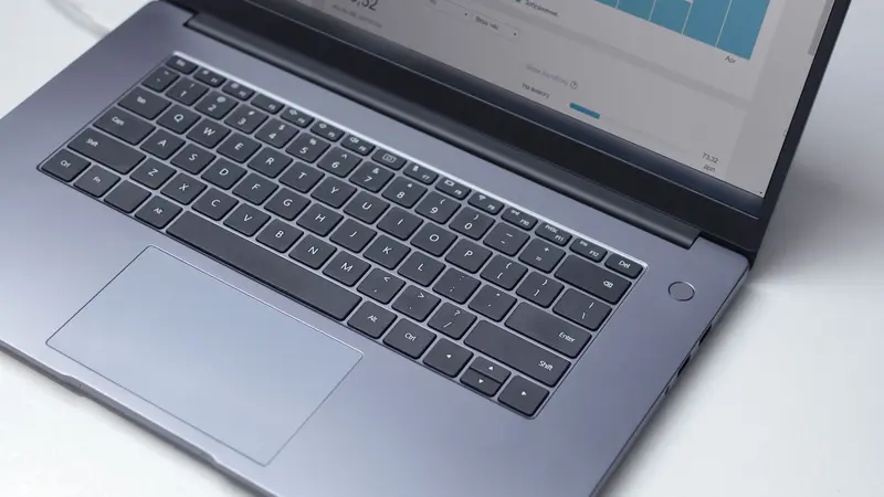 Persona analizando gráficos de estadísticas en la pantalla de una laptop