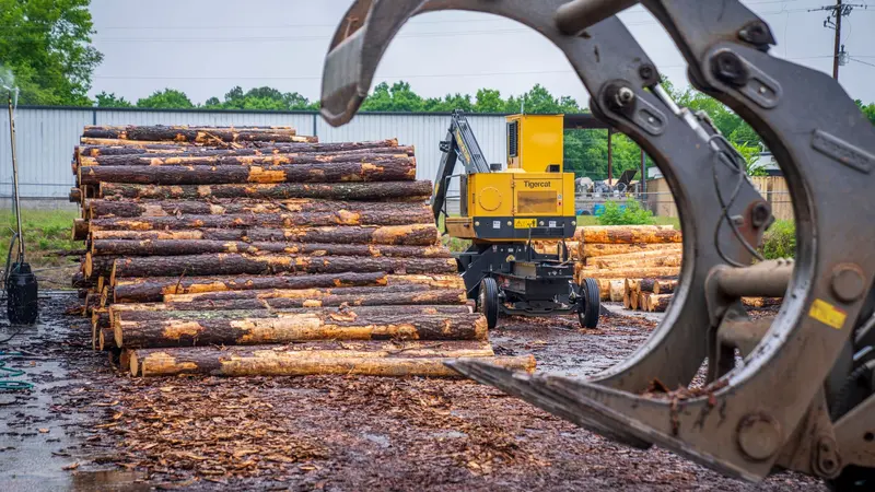 Troncos de madera apilados en un aserradero listos para su procesamiento