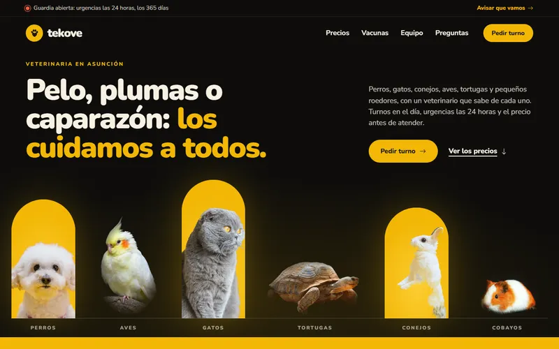 Veterinaria: Tekove Veterinaria, vista en computadora